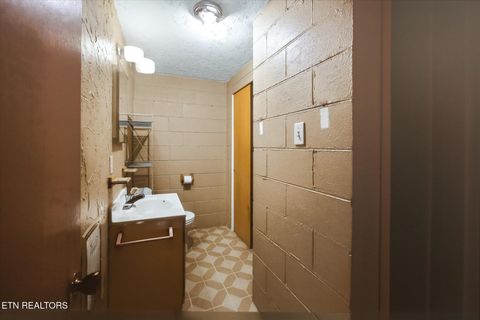 Tiny photo for 1815 Whirlwind Way, Mascot, TN 37806 (MLS # 1329949)