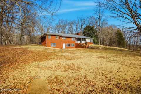 Tiny photo for 1815 Whirlwind Way, Mascot, TN 37806 (MLS # 1329949)