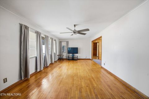 Tiny photo for 1815 Whirlwind Way, Mascot, TN 37806 (MLS # 1329949)