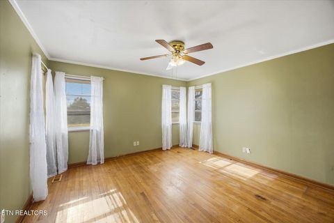 Tiny photo for 1815 Whirlwind Way, Mascot, TN 37806 (MLS # 1329949)