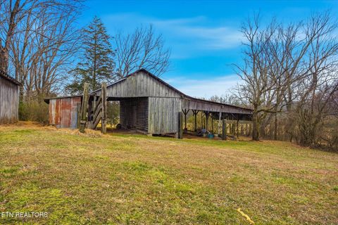 Tiny photo for 1815 Whirlwind Way, Mascot, TN 37806 (MLS # 1329949)