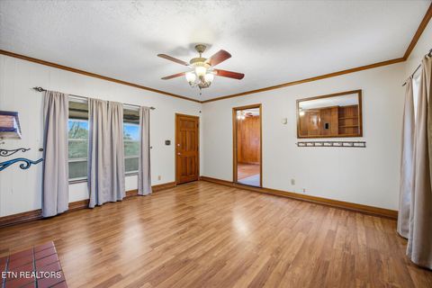 Tiny photo for 1815 Whirlwind Way, Mascot, TN 37806 (MLS # 1329949)