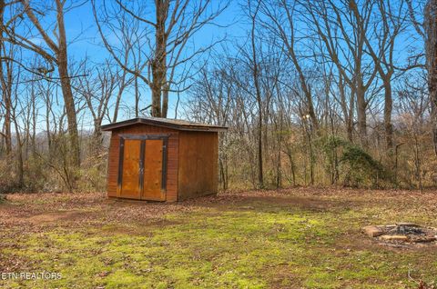 Tiny photo for 1815 Whirlwind Way, Mascot, TN 37806 (MLS # 1329949)