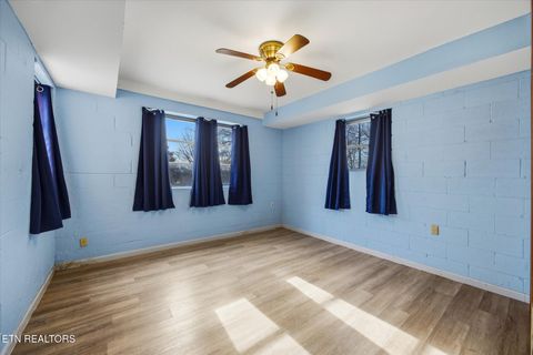 Tiny photo for 1815 Whirlwind Way, Mascot, TN 37806 (MLS # 1329949)