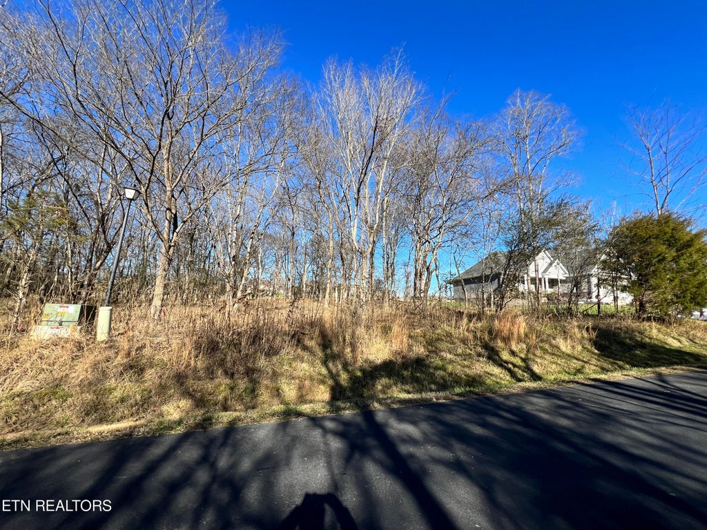 Photo of 6 Kanati Tr, Vonore, TN 37885 (MLS # 1248406)