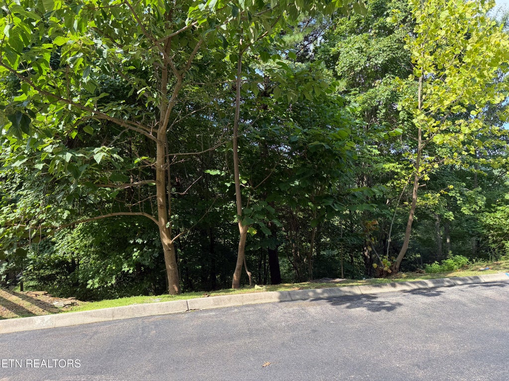 Photo of 56 Smoky Ridge Way #Lot 56, Sevierville, TN 37876 (MLS # 1350927)