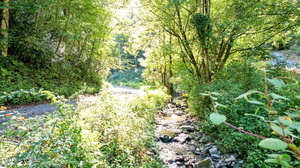 Photo of 740 Johns Creek Rd, Del Rio, TN 37727 (MLS # 1315030)