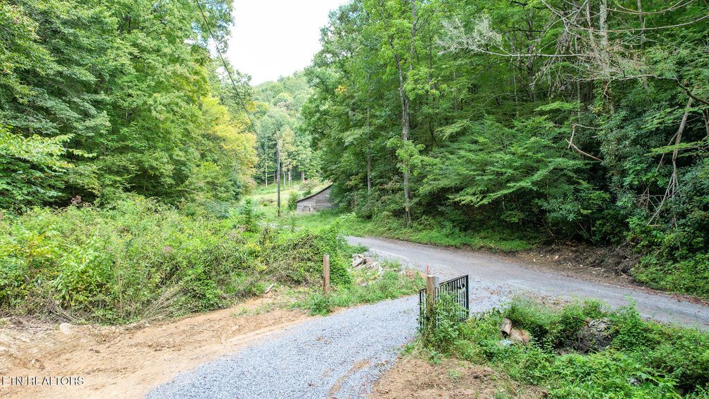 Photo of 740 Johns Creek Rd, Del Rio, TN 37727 (MLS # 1315030)