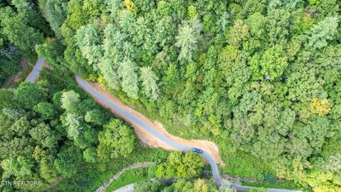 740 Johns Creek Rd Del Rio TN 37727