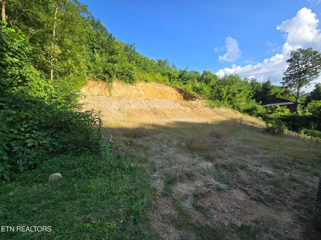 Photo of Elm Rd, Gatlinburg, TN 37738 (MLS # 1308232)