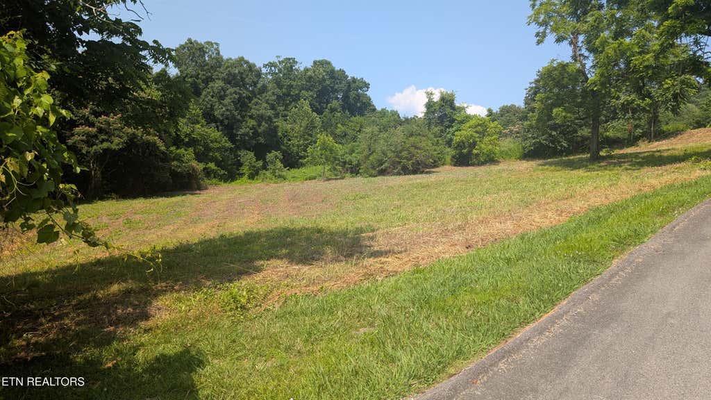 Photo of 64 Whispering Court, Bean Station, TN 37708 (MLS # 1351071)