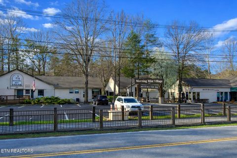 Tiny photo for 1170 Cole Lane, Gatlinburg, TN 37738 (MLS # 1332638)