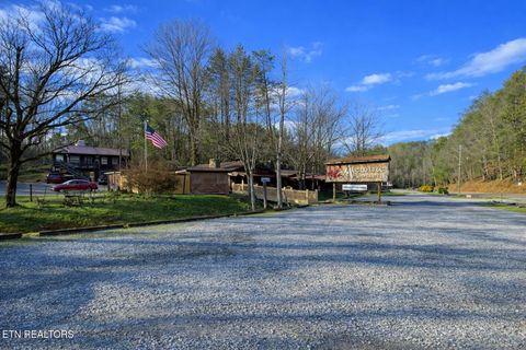 Tiny photo for 1170 Cole Lane, Gatlinburg, TN 37738 (MLS # 1332638)