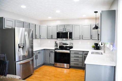 Tiny photo for 427 Eledge Farm Rd, Sevierville, TN 37876 (MLS # 1322952)