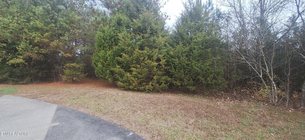 Photo of Raintree Lane, Kingston, TN 37763 (MLS # 1323950)