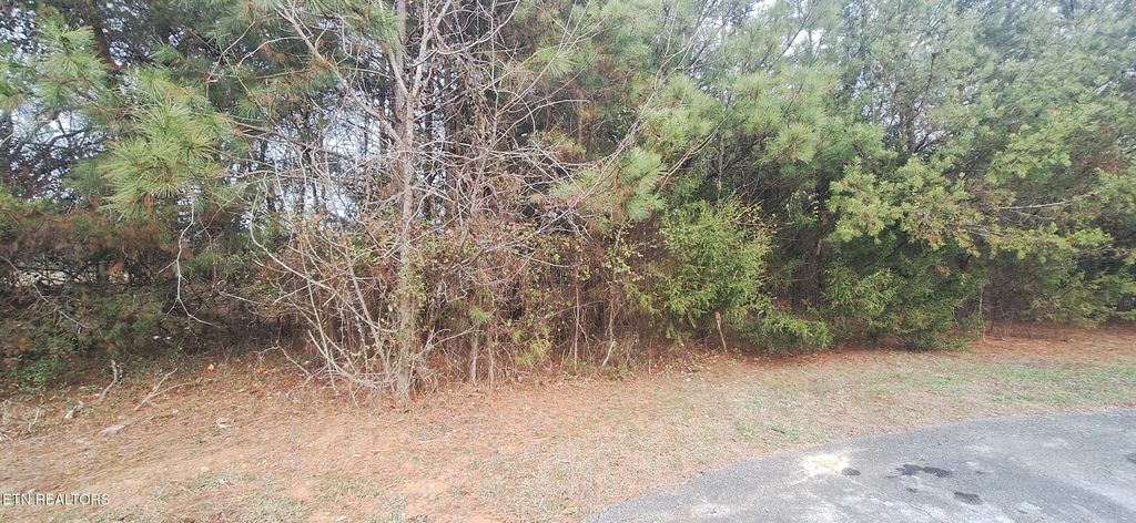 Photo of Raintree Lane, Kingston, TN 37763 (MLS # 1323950)