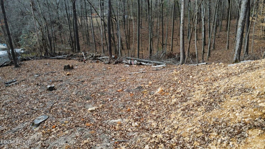 Photo of 111 Scenic Drive, Harriman, TN 37748 (MLS # 1327776)