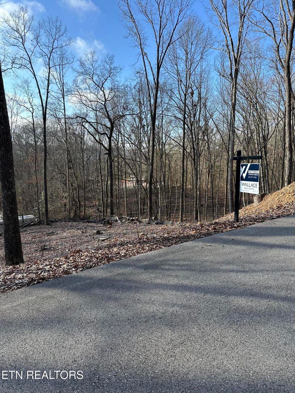 Photo of 111 Scenic Drive, Harriman, TN 37748 (MLS # 1327776)