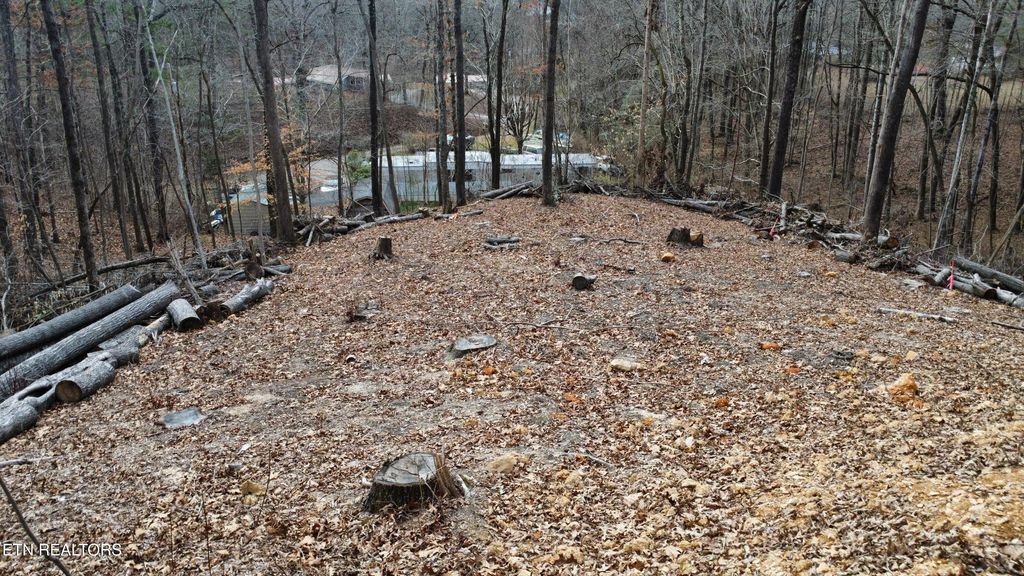 Photo of 111 Scenic Drive, Harriman, TN 37748 (MLS # 1327776)