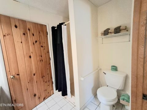 Tiny photo for 3018 Rivers Edge Drive, Cosby, TN 37722 (MLS # 1283879)