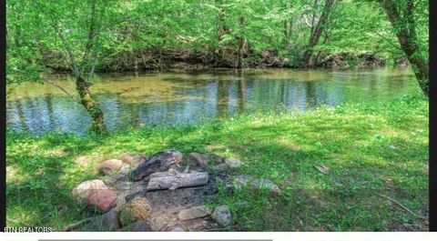 Tiny photo for 3018 Rivers Edge Drive, Cosby, TN 37722 (MLS # 1283879)