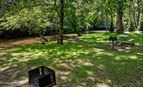 Tiny photo for 3018 Rivers Edge Drive, Cosby, TN 37722 (MLS # 1283879)