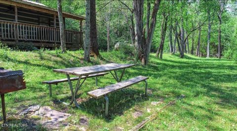 Tiny photo for 3018 Rivers Edge Drive, Cosby, TN 37722 (MLS # 1283879)