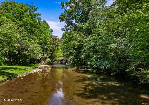 Tiny photo for 3018 Rivers Edge Drive, Cosby, TN 37722 (MLS # 1283879)