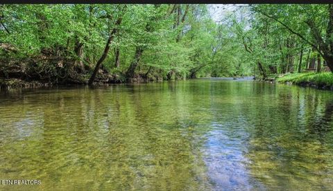 Tiny photo for 3018 Rivers Edge Drive, Cosby, TN 37722 (MLS # 1283879)