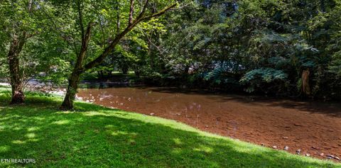 Tiny photo for 3018 Rivers Edge Drive, Cosby, TN 37722 (MLS # 1283879)