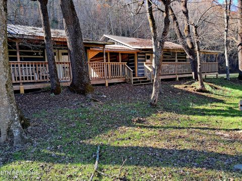 Tiny photo for 3018 Rivers Edge Drive, Cosby, TN 37722 (MLS # 1283879)