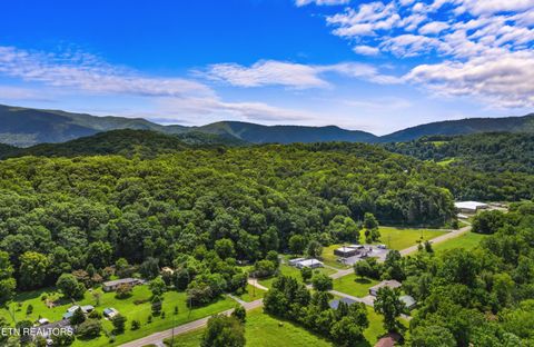 Tiny photo for 3018 Rivers Edge Drive, Cosby, TN 37722 (MLS # 1283879)