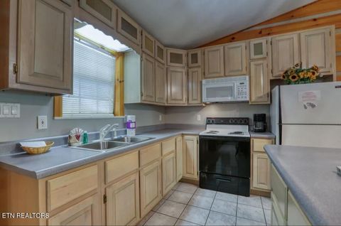 Tiny photo for 3018 Rivers Edge Drive, Cosby, TN 37722 (MLS # 1283879)