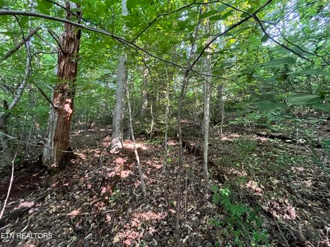 Tiny photo for 2504 Craghead Lane, Knoxville, TN 37920 (MLS # 1332524)