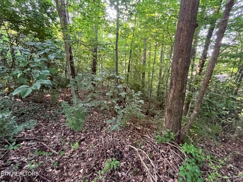 Tiny photo for 2504 Craghead Lane, Knoxville, TN 37920 (MLS # 1332524)
