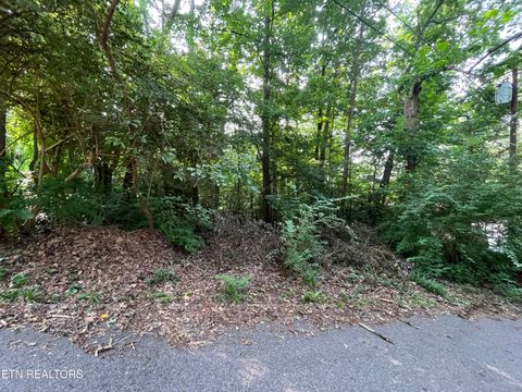 Tiny photo for 2504 Craghead Lane, Knoxville, TN 37920 (MLS # 1332524)