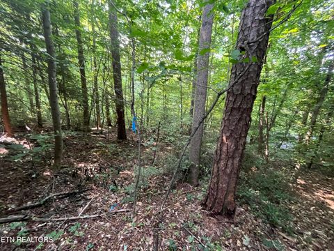 Tiny photo for 2504 Craghead Lane, Knoxville, TN 37920 (MLS # 1332524)