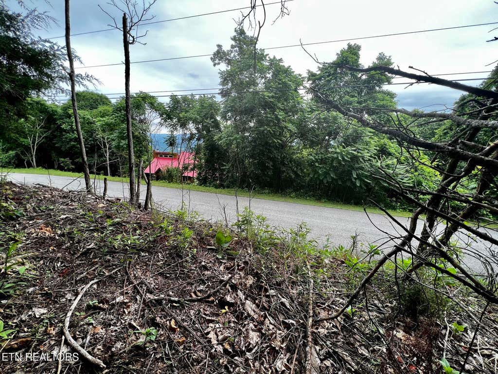 Photo of 212 Clinch View Rd, New Tazewell, TN 37825 (MLS # 1350335)