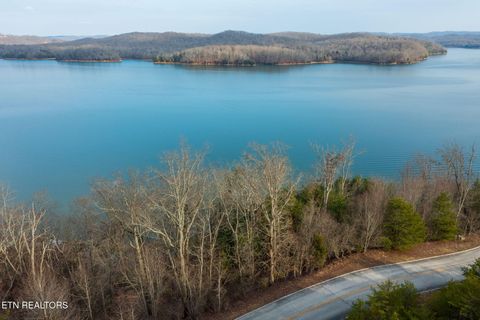 Lot 146 Thief Neck Drive Rockwood TN 37854