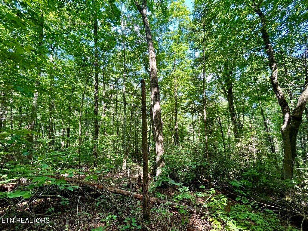 Photo of 00 Grand Country Drive, Cosby, TN 37722 (MLS # 1304297)