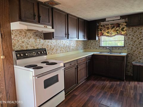 Tiny photo for 385 Shelton Rd, Newport, TN 37821 (MLS # 1320156)