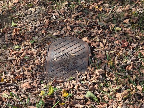 Tiny photo for 385 Shelton Rd, Newport, TN 37821 (MLS # 1320156)