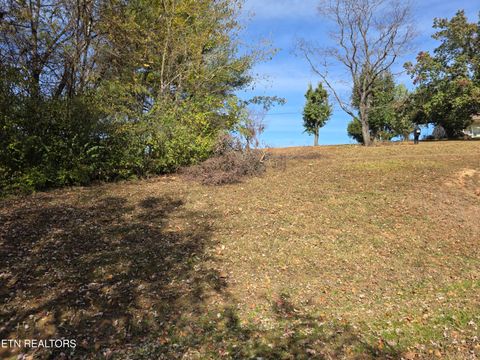 Tiny photo for 385 Shelton Rd, Newport, TN 37821 (MLS # 1320156)