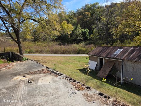 Tiny photo for 385 Shelton Rd, Newport, TN 37821 (MLS # 1320156)