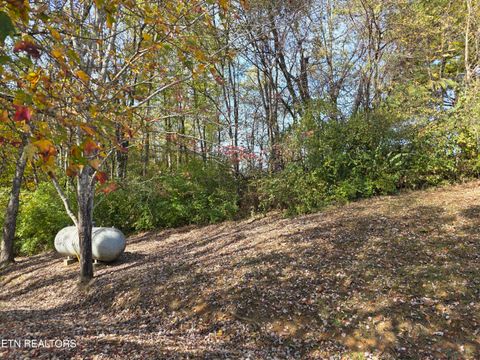 Tiny photo for 385 Shelton Rd, Newport, TN 37821 (MLS # 1320156)