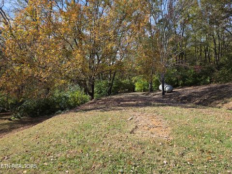 Tiny photo for 385 Shelton Rd, Newport, TN 37821 (MLS # 1320156)