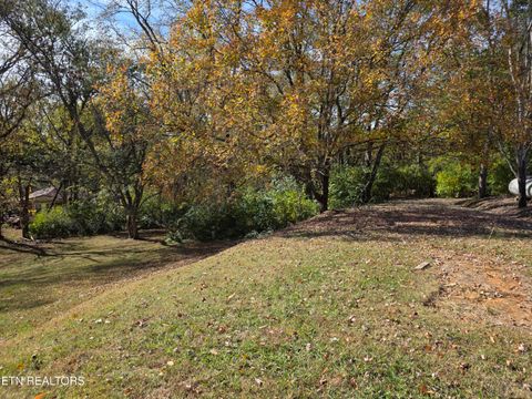 Tiny photo for 385 Shelton Rd, Newport, TN 37821 (MLS # 1320156)