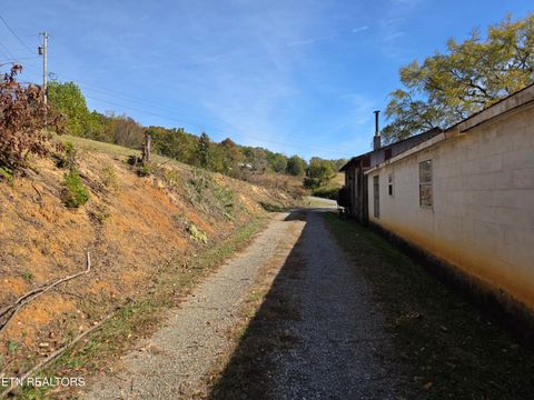 Tiny photo for 385 Shelton Rd, Newport, TN 37821 (MLS # 1320156)