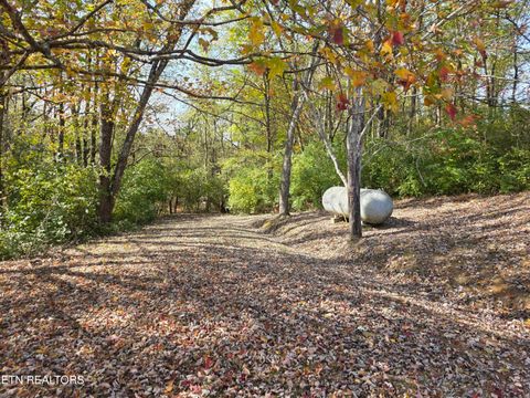 Tiny photo for 385 Shelton Rd, Newport, TN 37821 (MLS # 1320156)