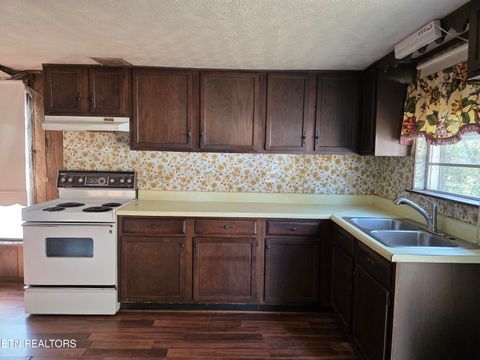 Tiny photo for 385 Shelton Rd, Newport, TN 37821 (MLS # 1320156)